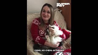 Марина и Че - отзыв о натуральном питании для кошек SUPERPET