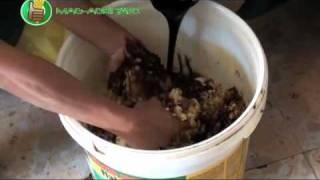 Organic/Natural Farming: How to Make Oriental Herbal Nutrients (OHN)