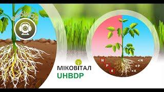 Вебінар «Мікориза: секрети відновлення родючості ґрунту»