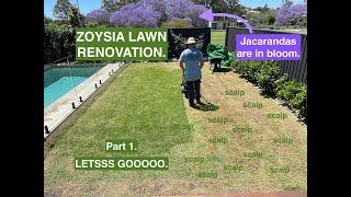 'It's a great day for a... ZOYSIA LAWN RENOVATIONN. Part 1. Picturesque jacaranda. LETSSS GOOOOO.