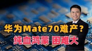 华为Mate70难产？纯血鸿蒙困难大