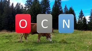 Multi-element (O, C, N) Stable Isotope Ratio Analysis of Milk: