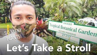 Hawaii Tropical Botanical Garden Tour | Spring 2021