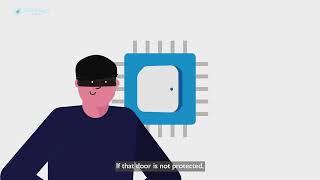 IoT Video Hackers Doorwa to Data