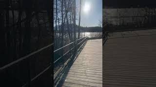 Morning Walk in Sweden | Swed Swag
