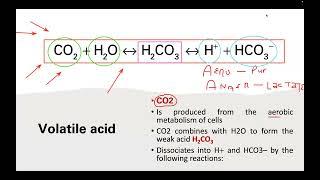 Physiology  Acid Base