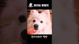 쇼츠에 다 못담은 레오의 피자먹는 모습