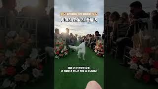 “우리 결혼식, 너도 함께해줘!”