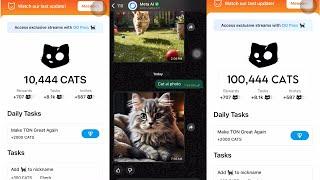 How to generate cat images to earn additional points on the CATS mini Game