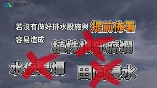 【大力丸】雨季來臨️超前佈署做起來｜恩農農業