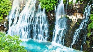 Listen Every Day to Refresh Your SpiritHealing Piano Music with Waterfall SoundsCalms Your Mind