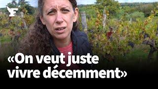 Le cri de détresse d'une vigneronne étranglée par les dettes