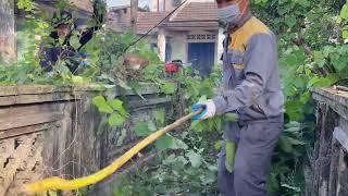 Clean up the abandoned house, cut down overgrown trees for a perfect transformation