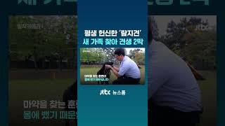 평생 헌신한 '탐지견'...새 가족 찾아 견생 2막 #JTBC #Shorts