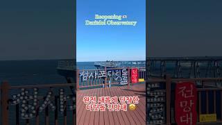 완전 새로운 부산 청사포 다릿돌전망대  New Daritdol Skywalk in Busan  #korea #부산