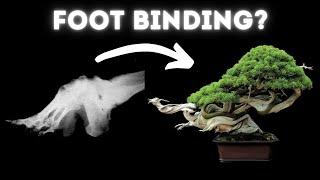 Is Bonsai Torture? - Biology of Pain