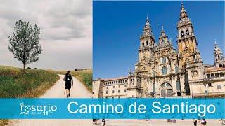 LA VERDADERA HISTORIA DEL CAMINO DE SANTIAGO