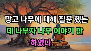 망고나무에 대해 질문을 했는 데 나부자 나무 이야기만 하였습니다 l 현대인을 위한 부처님의 진리 말씀 l 삶의 길잡이가 될 지혜의 등불