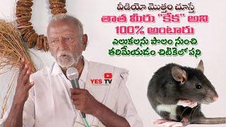 వీడియో మొత్తం చూస్తే  తాత  మీరు "కేక" అని 100%అంటారు|| ఎలుకలను పొలం  నుంచి తరిమేయడం చిటికెలో పని