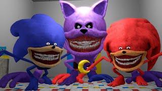 Can MUTANT SONIC and KNUCKLES TAPES Survive in Poppy Playtime? (Garry's Mod)