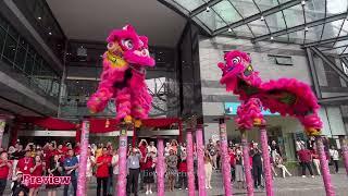 CNY 2025 - Acrobatic Lion Dance by  Khuan Loke 馬來西亞群樂體育會 at Glocomp Systems Bandar Utama
