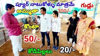 ప్యూర్ నాటుకోళ్ళు మాత్రమే కొంటా అమ్ముతా|Natukodi farming|Natukodi eggs|Natukodi chicks|Natukodi farm