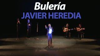 Bulerías, cantaor Javier Heredia, Festival de Cante Flamenco