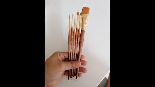 Princeton Real Value, Series 9100, Paint Brush Sets for Acrylic, Oil & Watercolor Painting, S Review