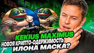 Может ли Kekius Maximus стать новой крипто-одержимостью Илона Маска?