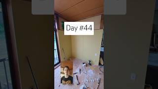 Day 44 of Japanese House Renovation: A bit of drywalling #diy #japanesehouse #homeimprovement #japan