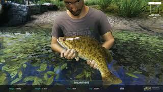 Huge Rainbow Trout, Smallmouth Bass And Sockeye Salmon (Ultimate Fishing Simulator 2)!