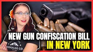 New Gun Confiscation Bill In New York