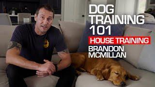 Dog Training 101: House Training | Brandon McMillan