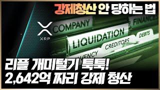 리플 새벽간 욕심에 기인한 개미털기, “2,642억 강제 청산 완료” 욕심은 금물! 리플 비트코인 이더리움