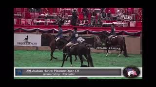 Klint Black+++// 2020 US NATIONAL CHAMPION ARABIAN HUNTER PLEASURE OPEN