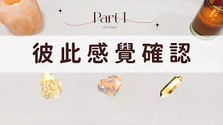 彼此感覺確認Part 1「無時間限制」｜塔羅占卜+占卜小物｜Ora Tarot