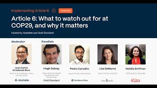 Webinar: Article 6 – What to watch out for at COP29, and why it matters