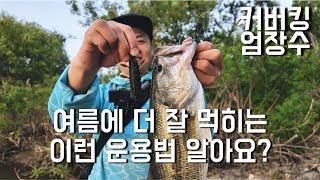 여름 배스들을 자극해 봅시다..!! (feat.엄장수) #배스낚시 #피쉬맥스 #잇세이