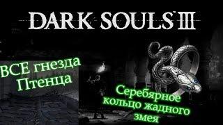 СЕРЕБРЯНОЕ КОЛЬЦО ЖАДНОГО ЗМЕЯ | ВСЕ ГНЕЗДА ПТЕНЦА ► [Dark Souls 3]