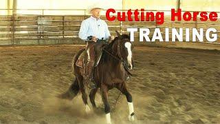 How To Train A Cutting Horse Prospect On The CowTrac Mechanical Cow Or Flag