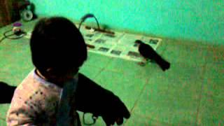 baby training Falconry
