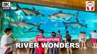 River Wonders Singapore Tour | Singapore City From Different Perspective 