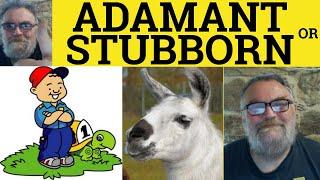  Adamant Meaning - Stubborn Examples - Adamant or Stubborn - The Difference - British Pronunciation