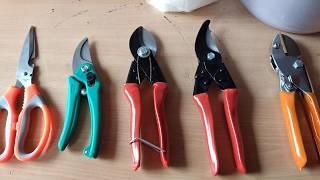 5 Types Of Plant Cutters | Prune cutter | Air Layering Cutter | Stem Cutter | Plants & Flower Cutter