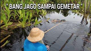 " YANG NYALI NYA KECILL JANGAN MANCING DISINI " ..