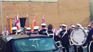 Braniel Loyal 12th night 2017