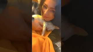 Micuța Lola fiind dulce  #dogs #dogshorts #wholesome #cuteanimal #sweet #cutevideos #iloveyou