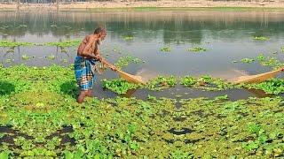Amazing River Net Fishing Videos - Cast Net Fishing Video - Traditional Net Fishing