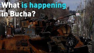 What is happening in Bucha?