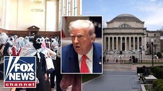 NOT BACKING DOWN: Trump team probes visas of anti-Israel protesters